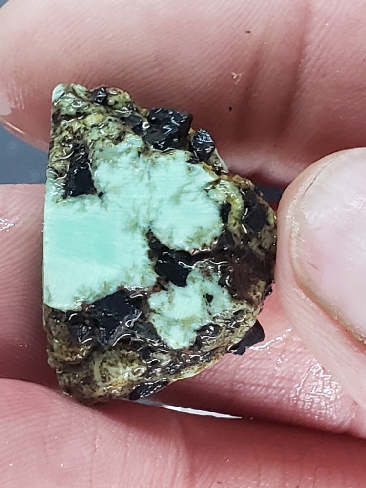 Saguaro Variscite Slabs