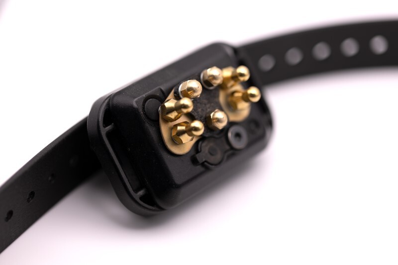 E-Collar Short Point Comfort Pad (CPAD-012)