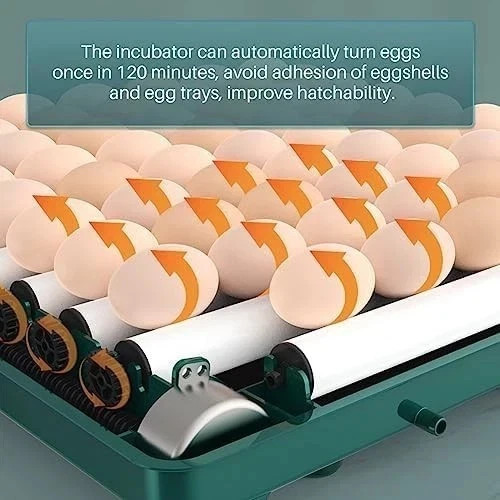 Incubators for Hatching Eggs, Egg Incubator with Automatic Egg Turning and Humid