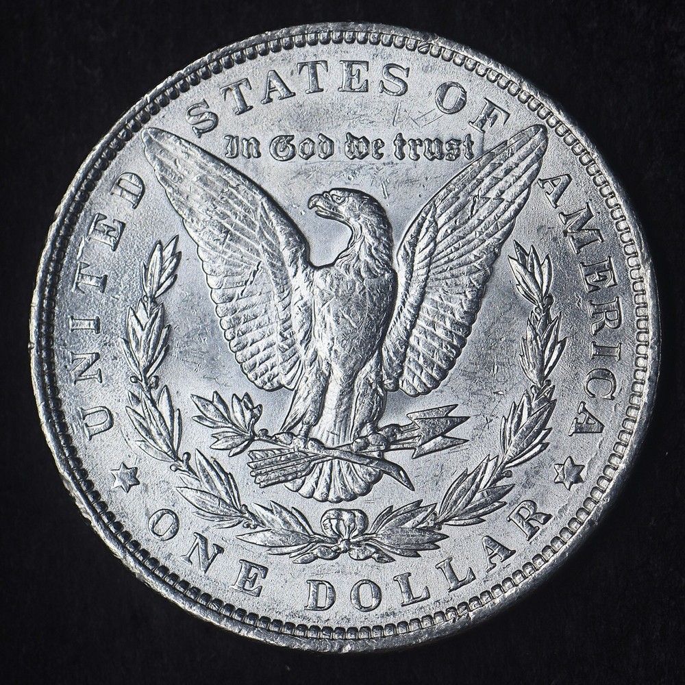 1891-P "High Grade" Morgan Silver Dollar $1 - COINGIANTS -