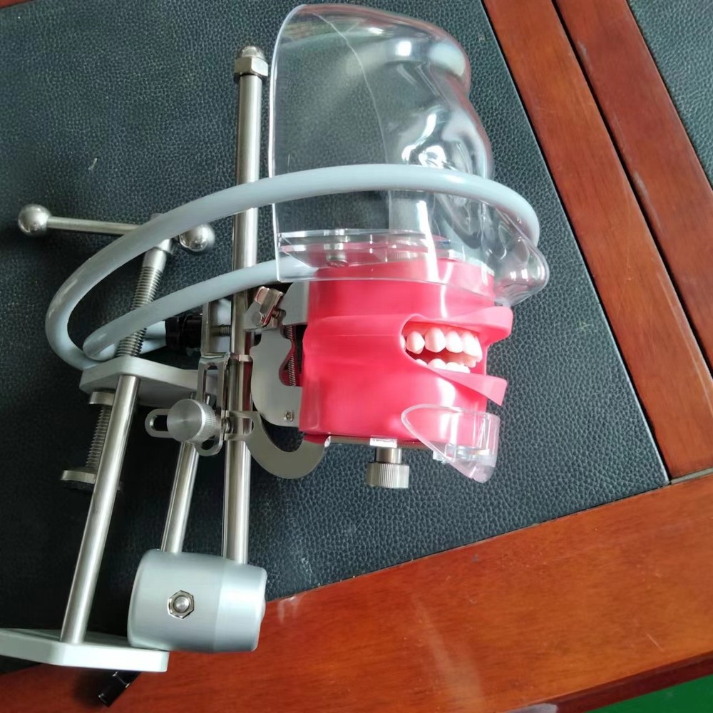 Dental Simulator Phantom Head Model Dental Preparation Support Display