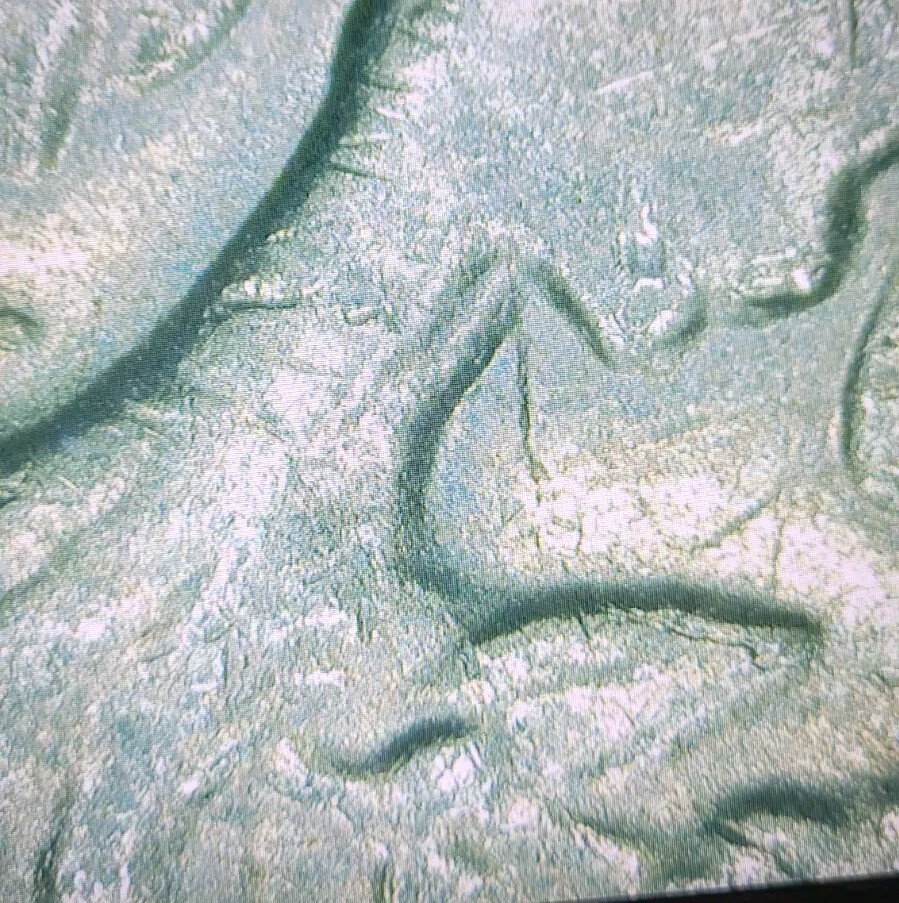 1972-D Eisenhower Dollar Double Strike Error
