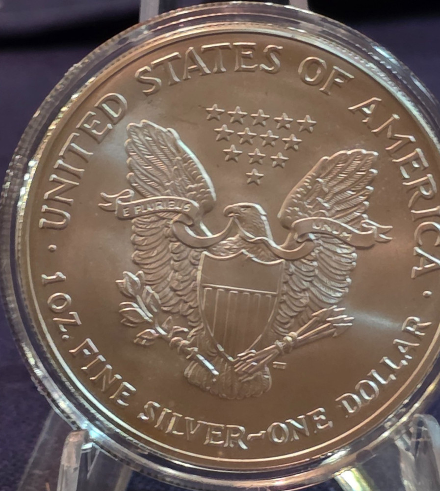 2003 Walking Liberty Silver Dollar Painted on the front Original Silver on Back