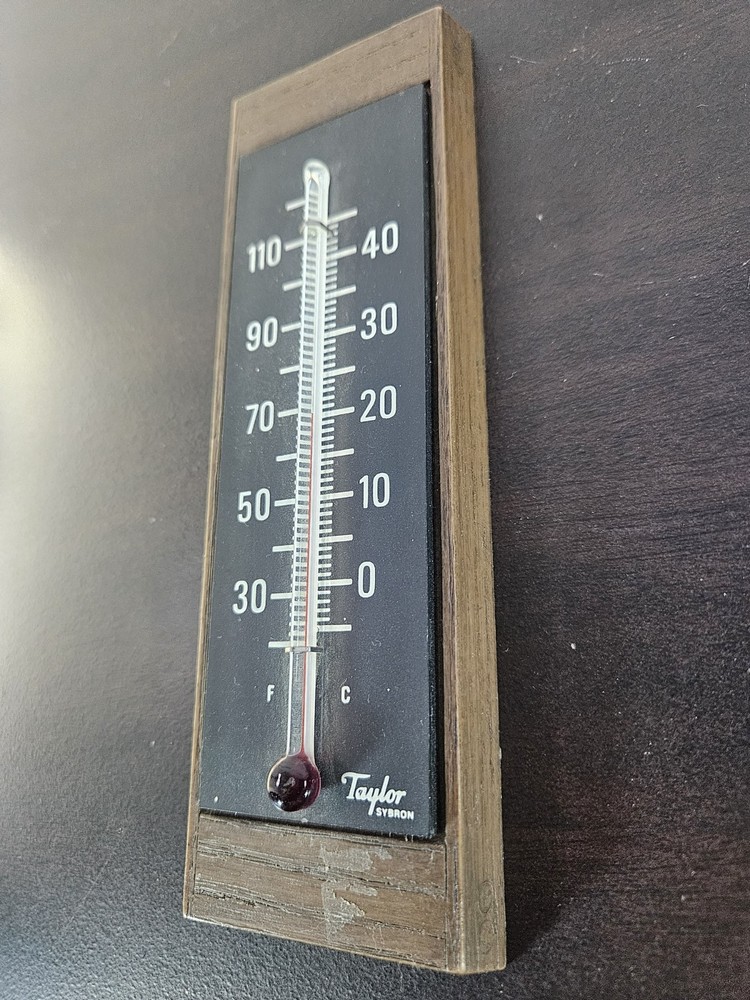 Vintage 60’s Taylor Hanging Thermometer