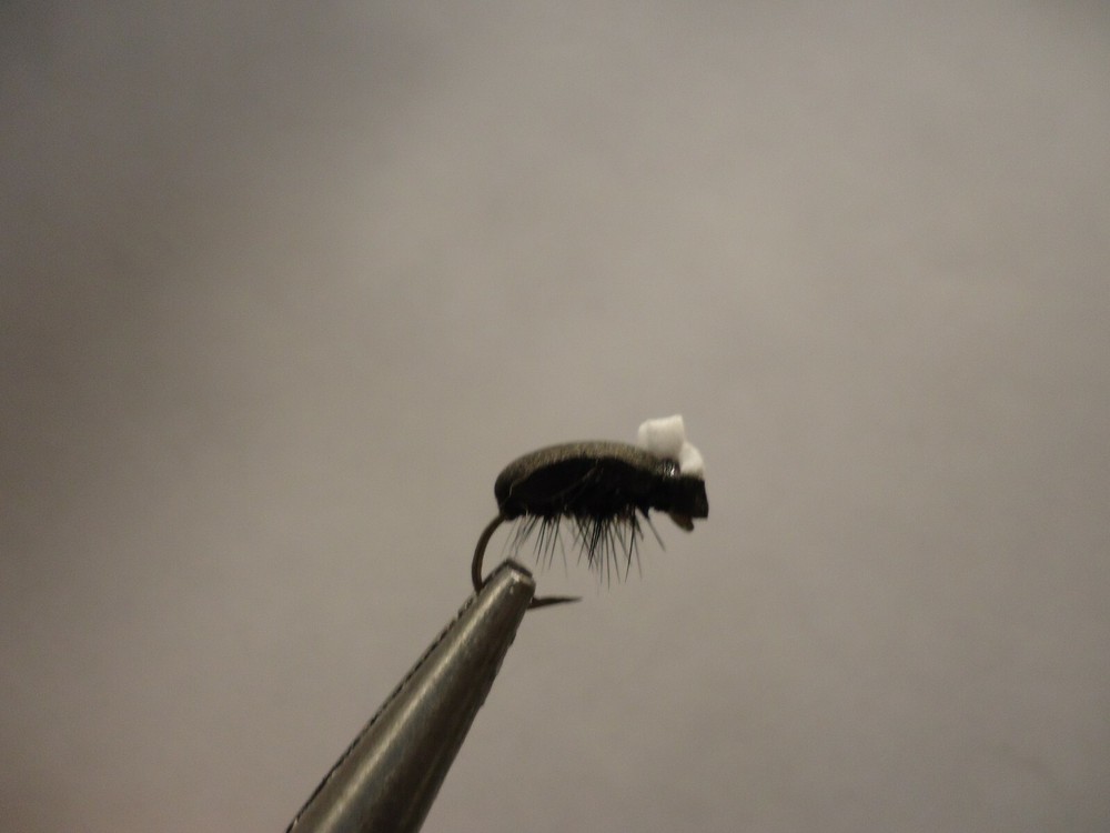 Foam Black Beetle Size 12