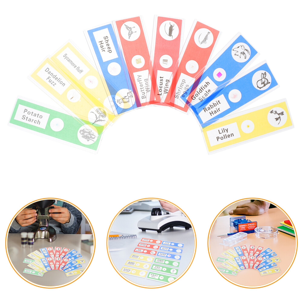 36 Pcs Microscope Slide for Science Education Biology Child
