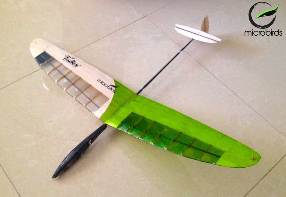 Feather DLG RC Glider Kit Ultralight Discsu launch Glider MicroBirds
