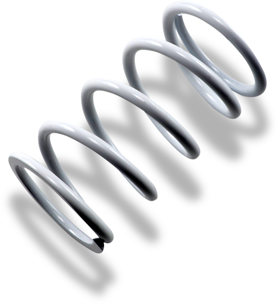 Epi Primary Clutch Spring Ps2