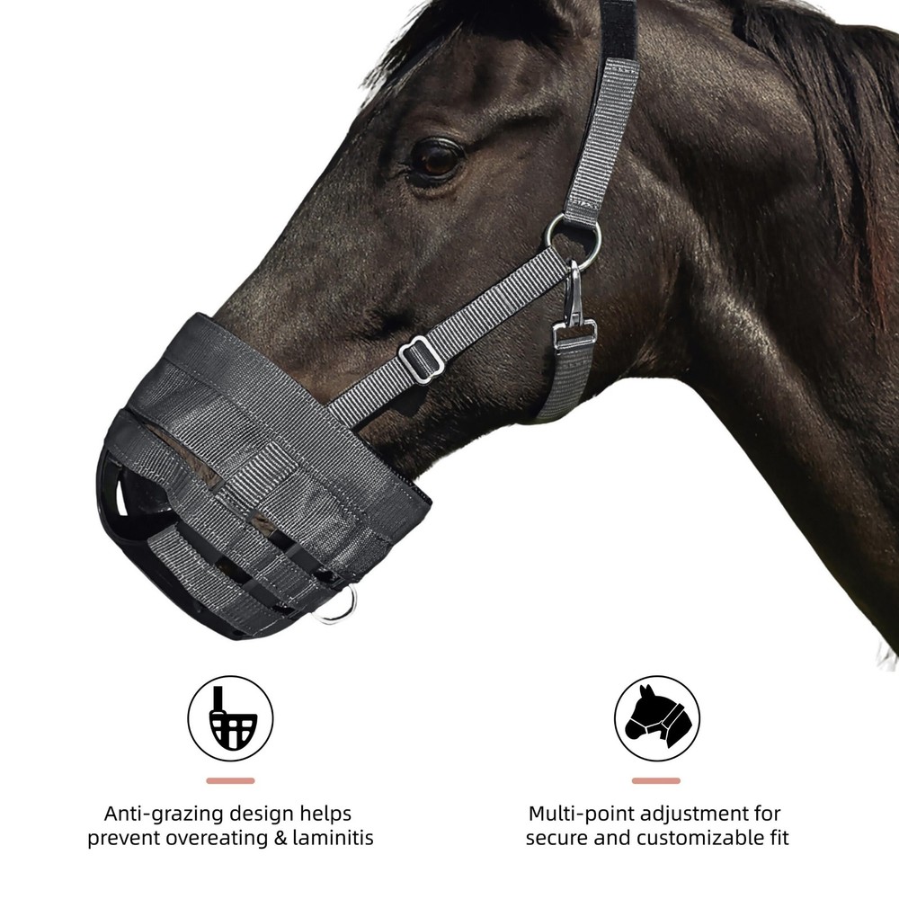 BARN & STABLE Horse Grazing Muzzle for Easy Breathe, Comfortable Muzzle Grazing