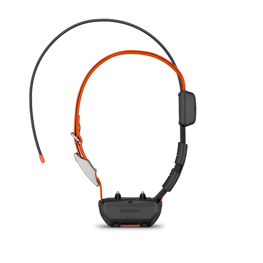 Garmin TT25 Dog Collar - Orange
