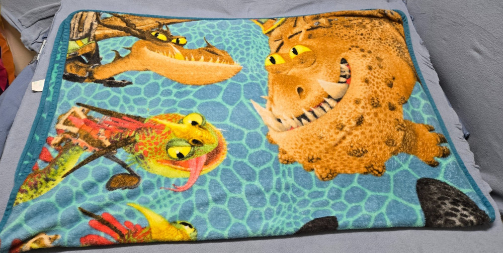 How To Train Your Dragon Throw Blanket from Original Release 2010