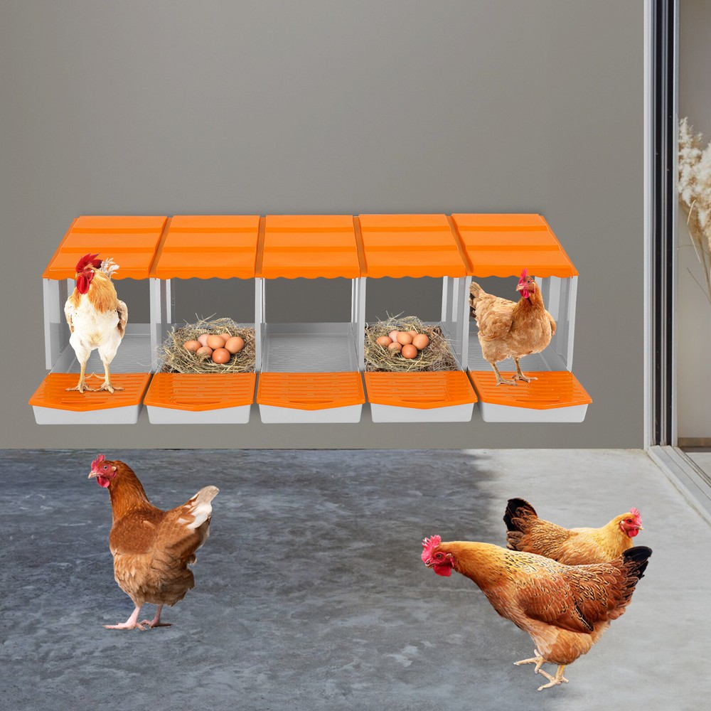 5-Compartment Chicken Nesting Box, Chicken Nest Laying Box with Egg Collection