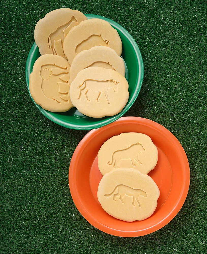 Let'S Investigate Safari Footprints