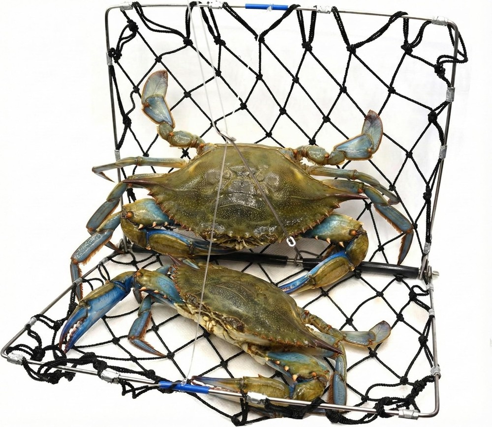 Foldable Crabjaw Trap with Bait Clip - Redesigned Rectangle Castable Crab Haw...