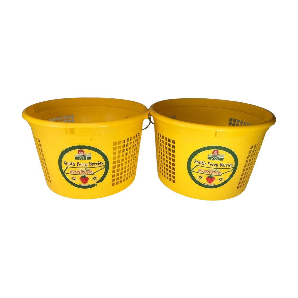Plastic Strawberry Baskets (2, Smith Perry Berries, Made in USA)