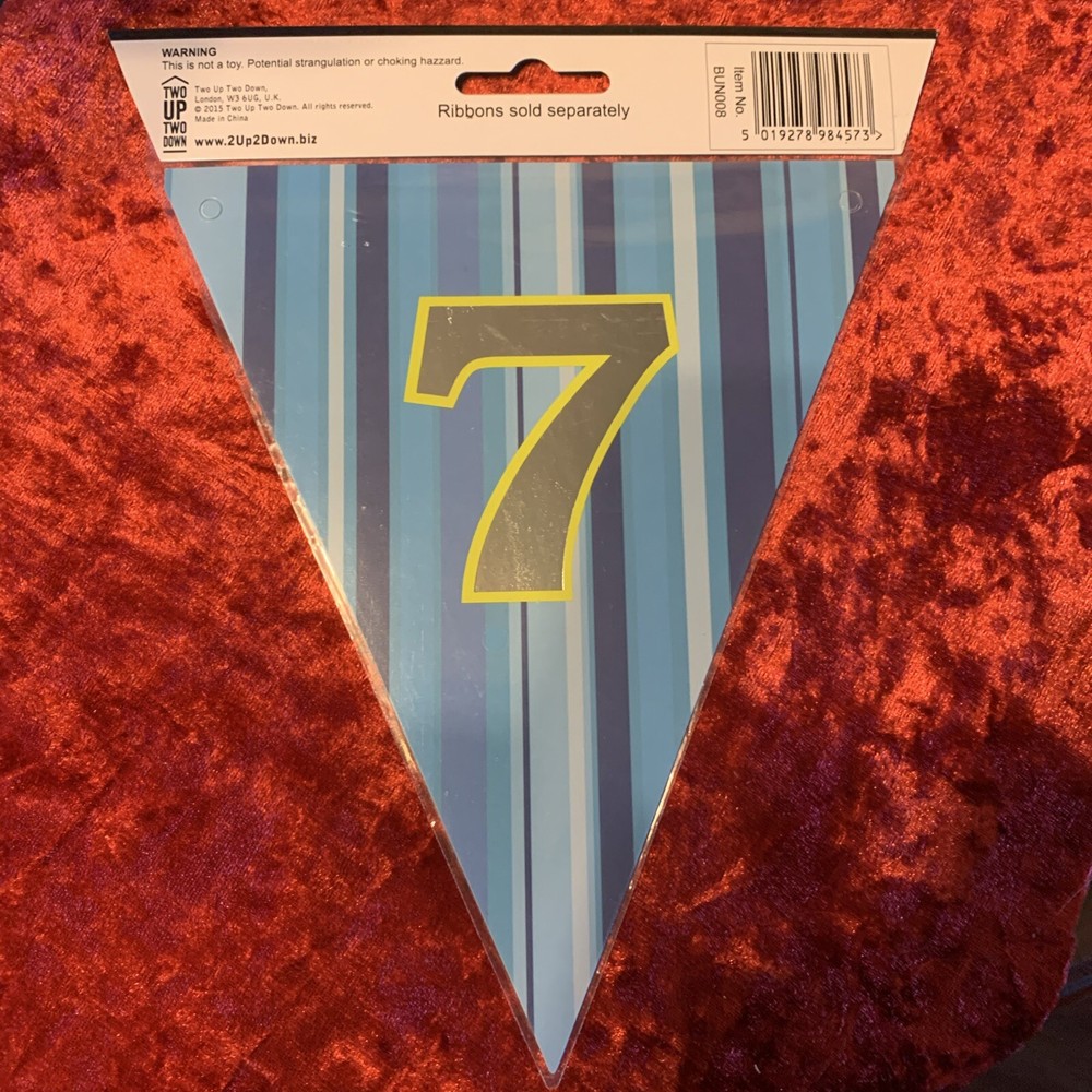 Make Any Message Or Name Personalised Bunting Blue Number 7