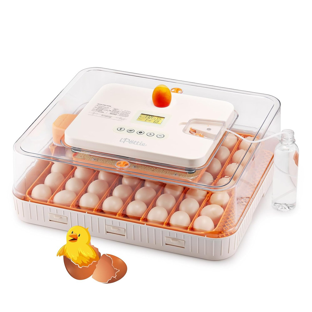 Nestasy Prohatch56 Egg Incubator with Automatic Egg Turning and Humidity Tempera