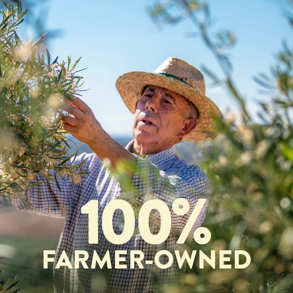 Organic Extra Virgin Olive Oil