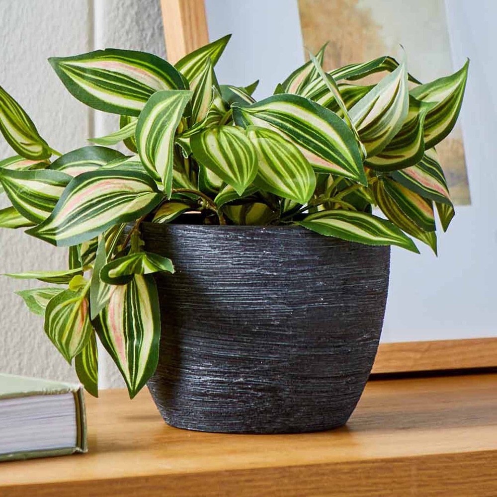 4.5" Textured Matte Ceramic Pot Black 1 Piece
