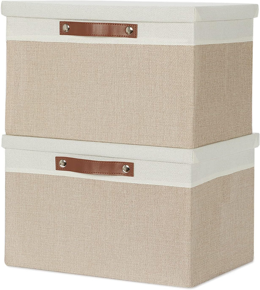 Foldable Storage Bins with Lids, [2-Pack] Large Storage Baskets with Lid, Fabric