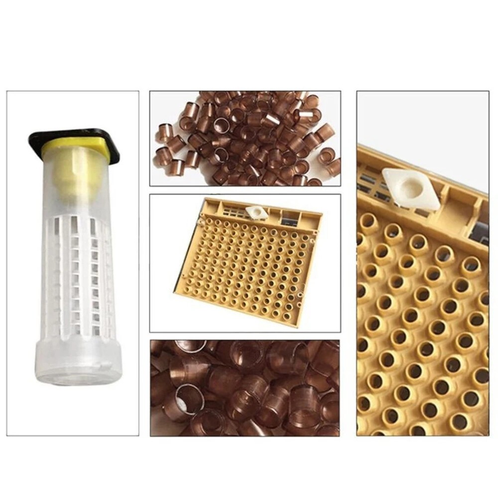 Beekeeping Tool Queen Rearing System Cultivating Box 120pcs Plastic Bee Cell Cup