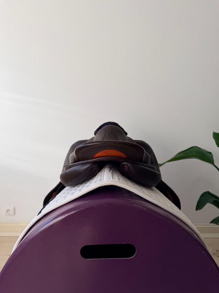 Bruno Delgrange Partition Jumping Saddle 17,5