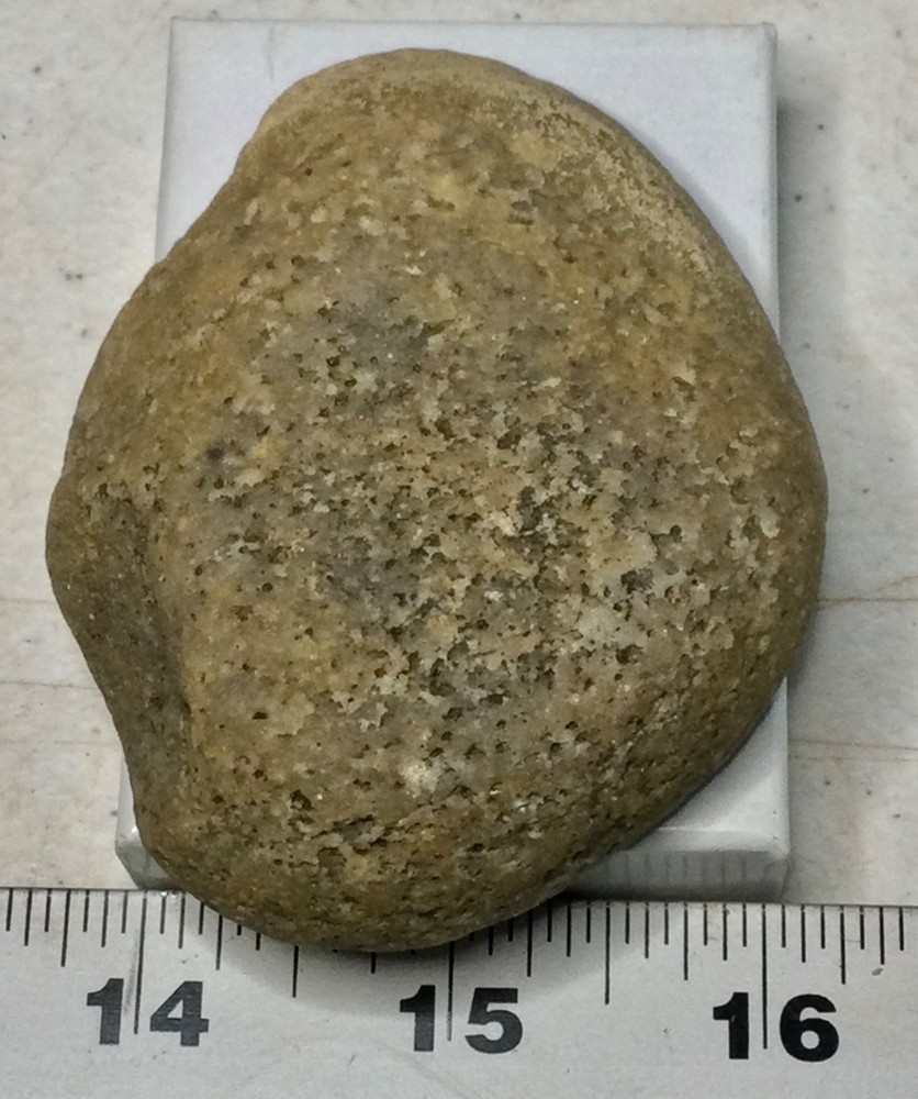 Dinosaur ARMOR PLATE