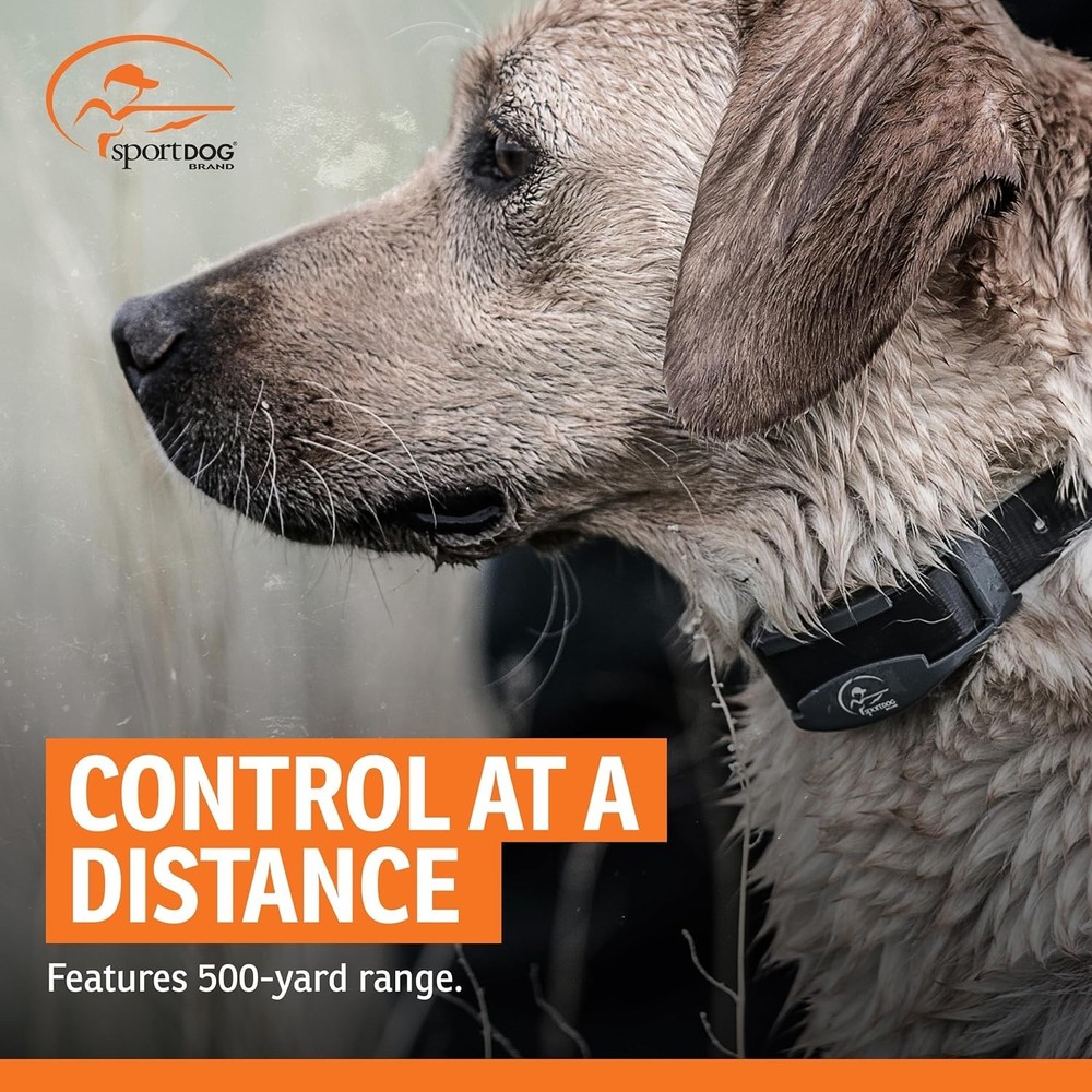 FieldTrainer 425X - Remote Trainer Designed for Off-Leash Control & Training ...