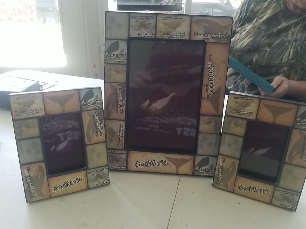 Seaworld Photo Frame Set Two 2x3 Frames & One 4x6 Frame
