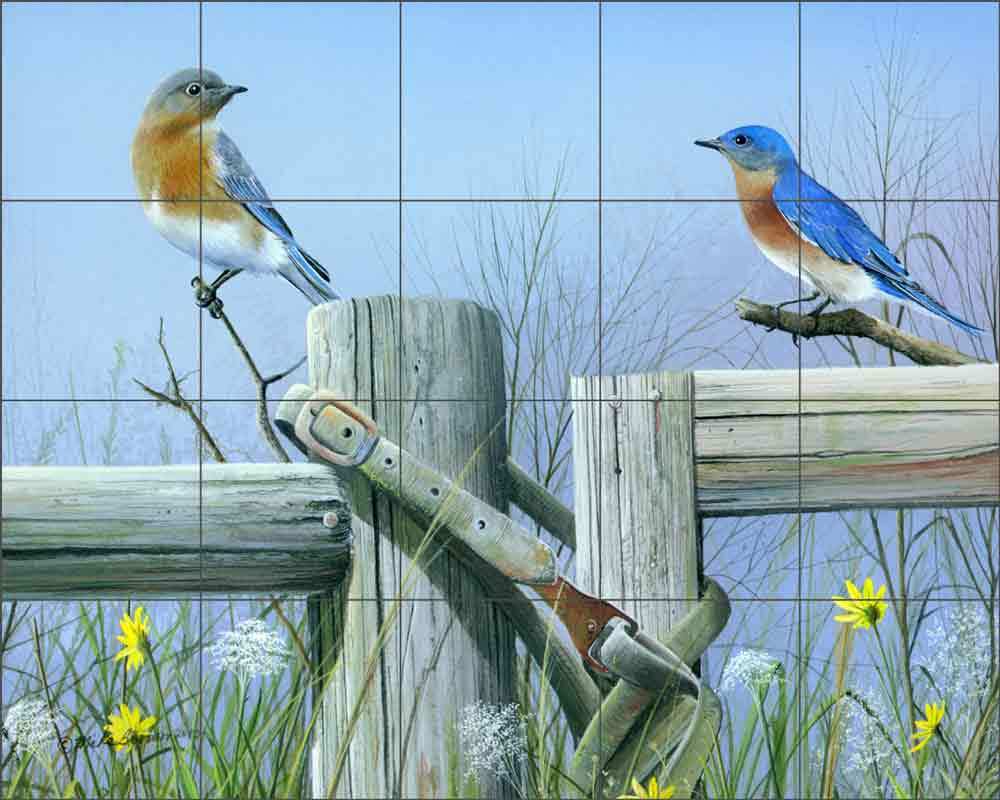 Bird Tile Backsplash Mike Brown Wildlife Art Ceramic Mural MBA013