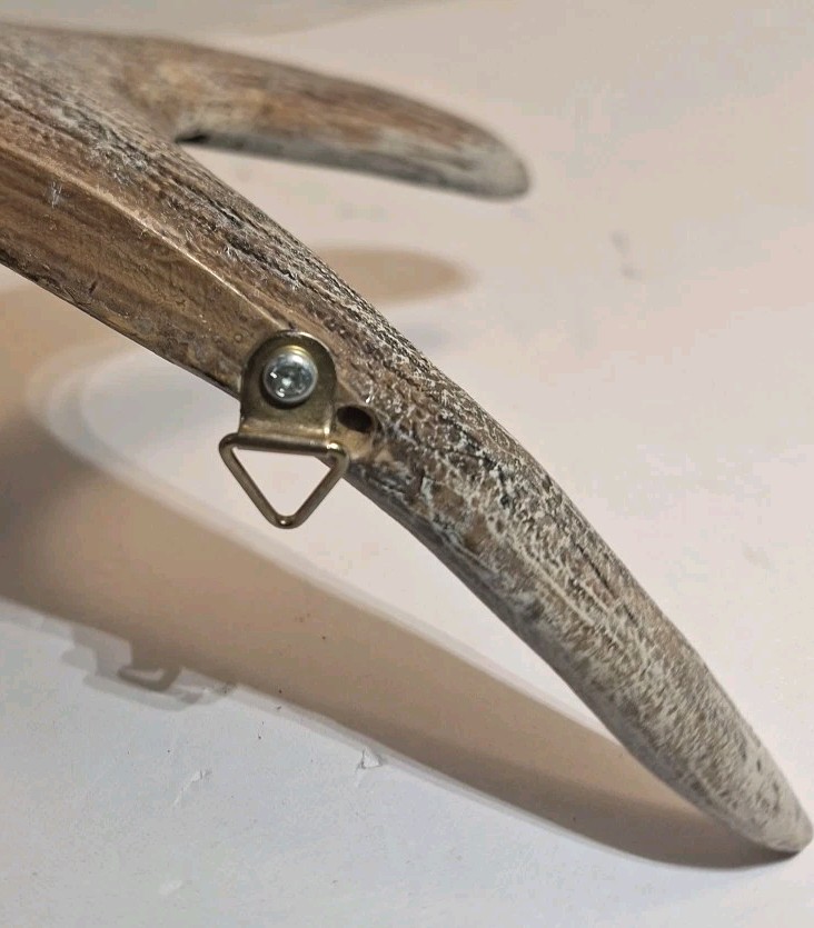 6 Point Deer Antler Wall Mount Antler Decor