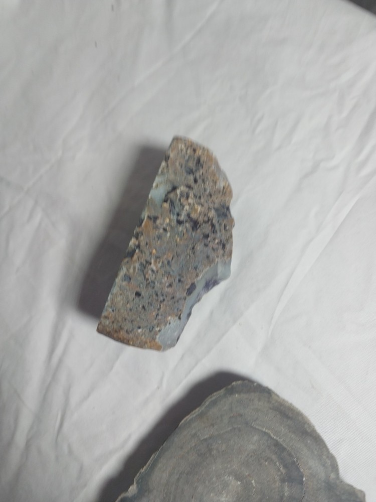 Petrified Wood, Half Geode Polished