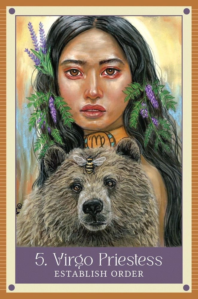 The Wild Witch Oracle Cards Deck!