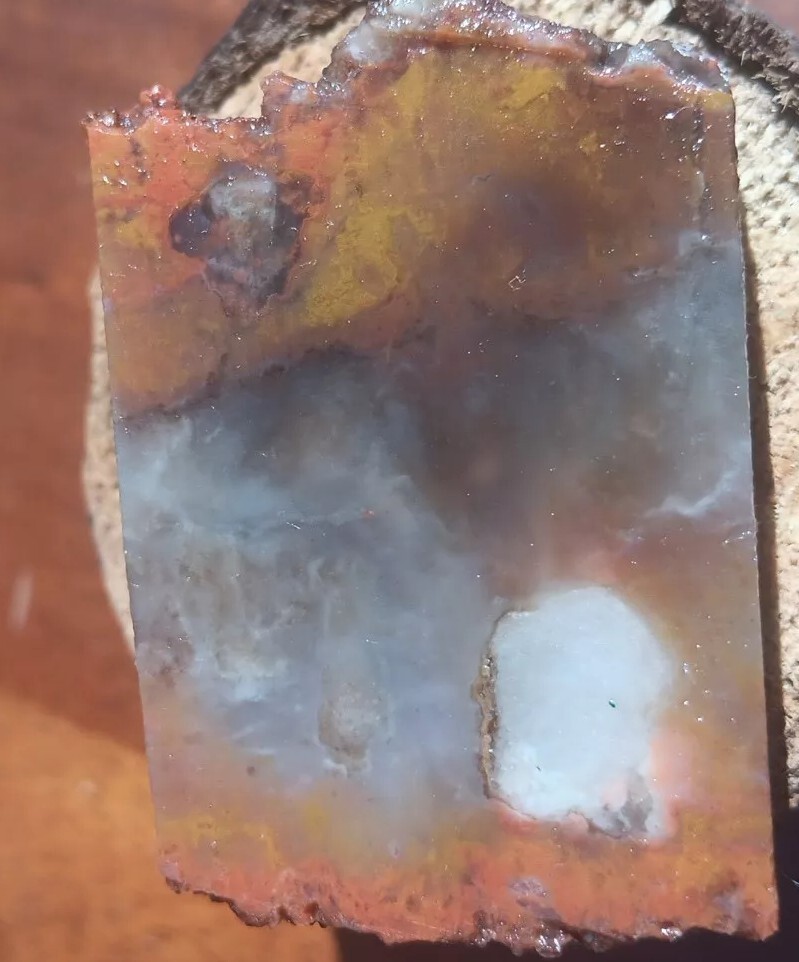 Volcanic Petrified Wood Limb Casting End Cut From Cube Utah See Cube