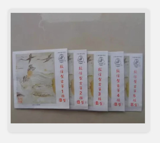 Guzheng B string standard strings Germany with steel core 1-5 sets strings