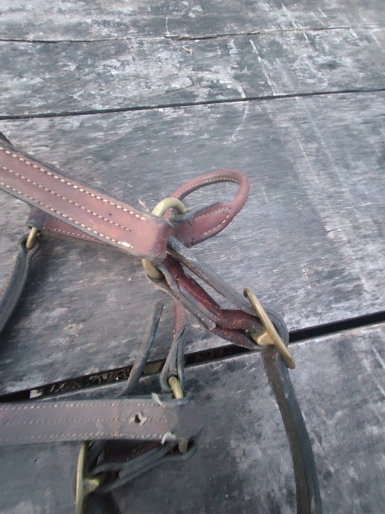 Horse Halter Copper Hardware
