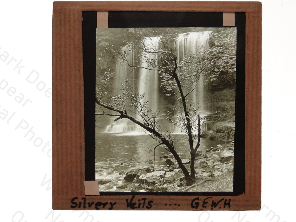 Silvery Veils Waterfall Tree River G.E.W.H Magic Lantern Slide c1900s