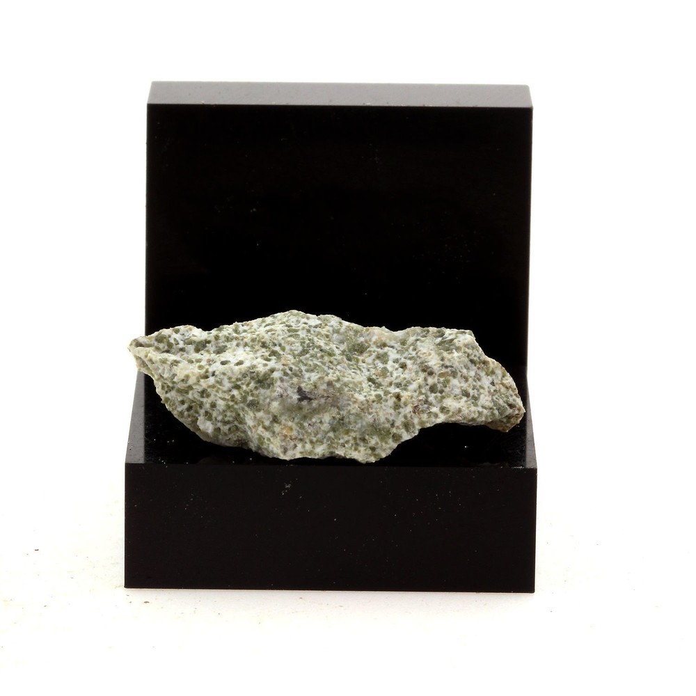 Lehm. 19.42 CT. Italy.