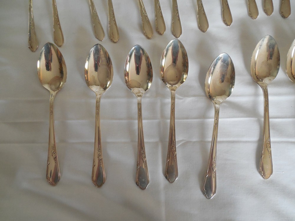 Wm A Rogers Oneida Meadowbrook 44 pieces