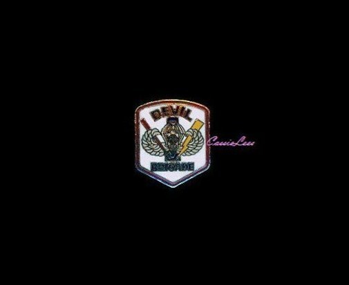 USA Devil Brigade + a custom promo pin
