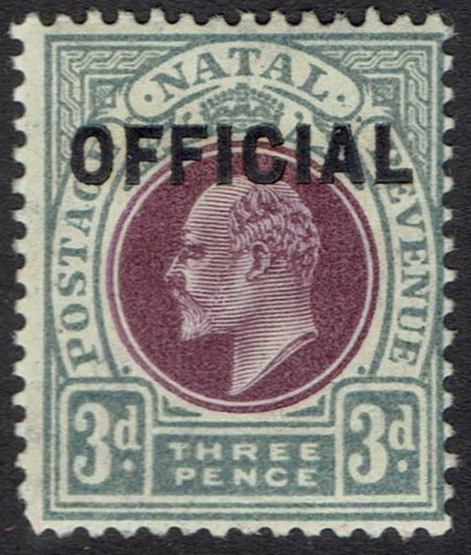 NATAL 1904 KEVII OFFICIAL 3D