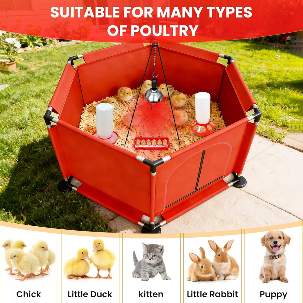 Chicks Brooder Box for Chicken Starter Kit–Includes Heat Lamp, Chick Feeder and
