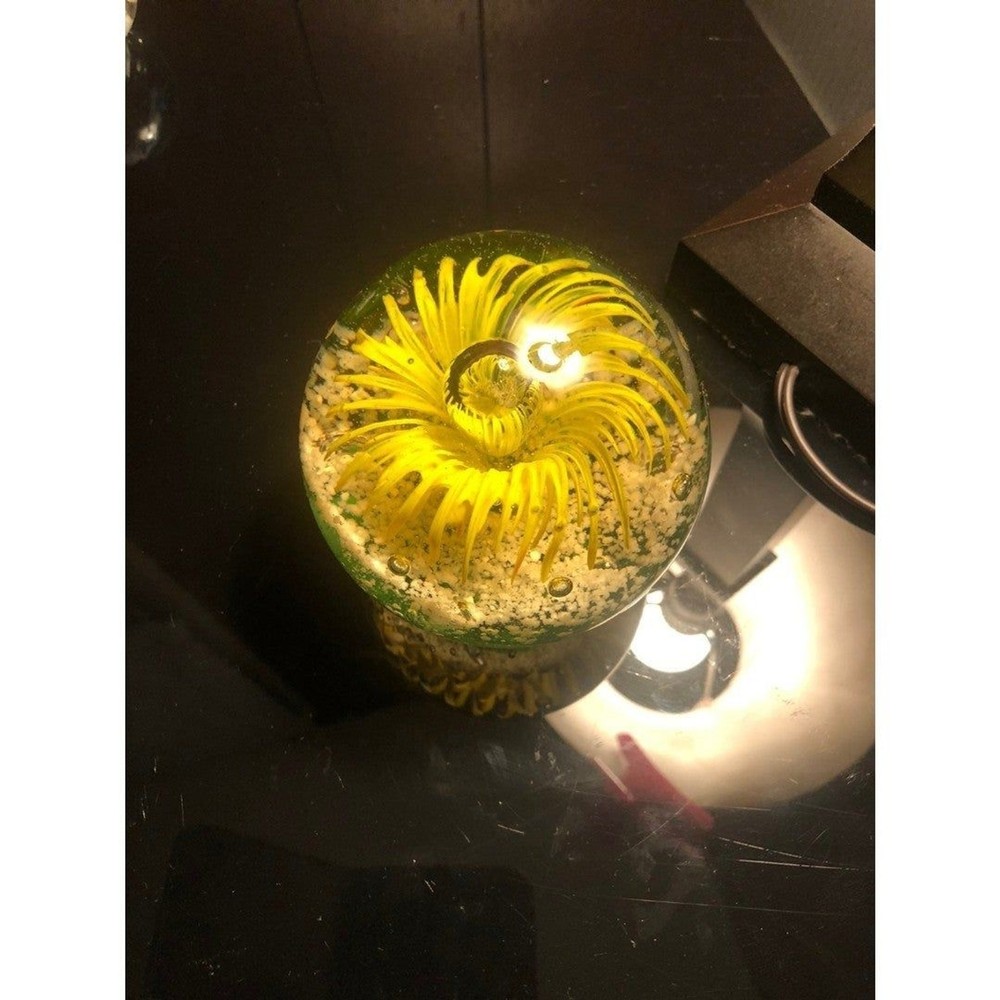 ISP Home Exploding Flower Heavyweight Art Glass Paperweight