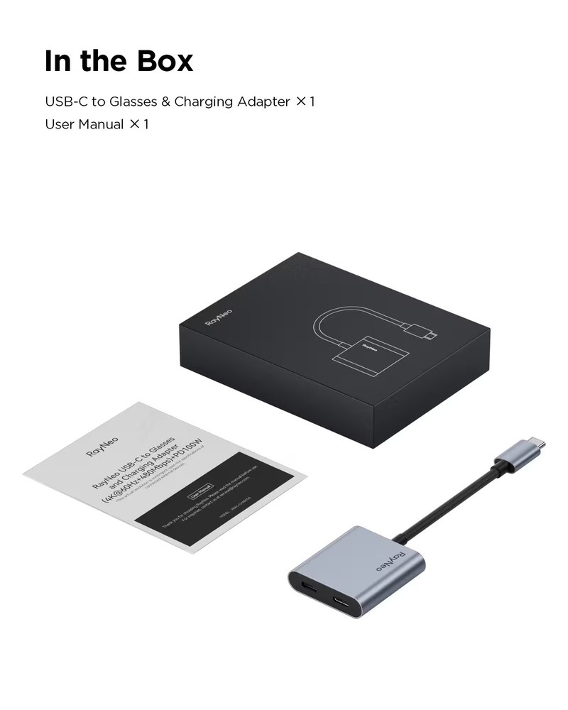 RayNeo - USB to Glasses and Charging Adapter - Black