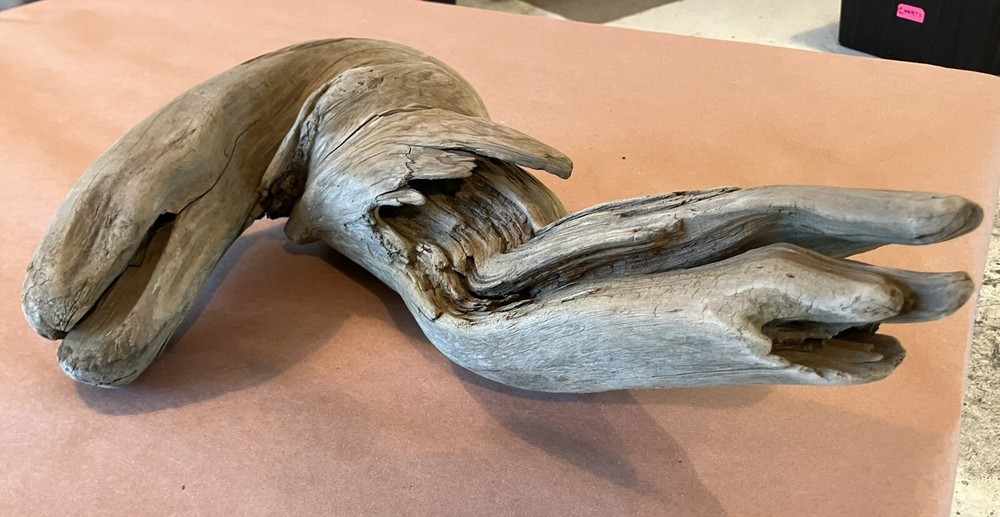 Beautiful Driftwood