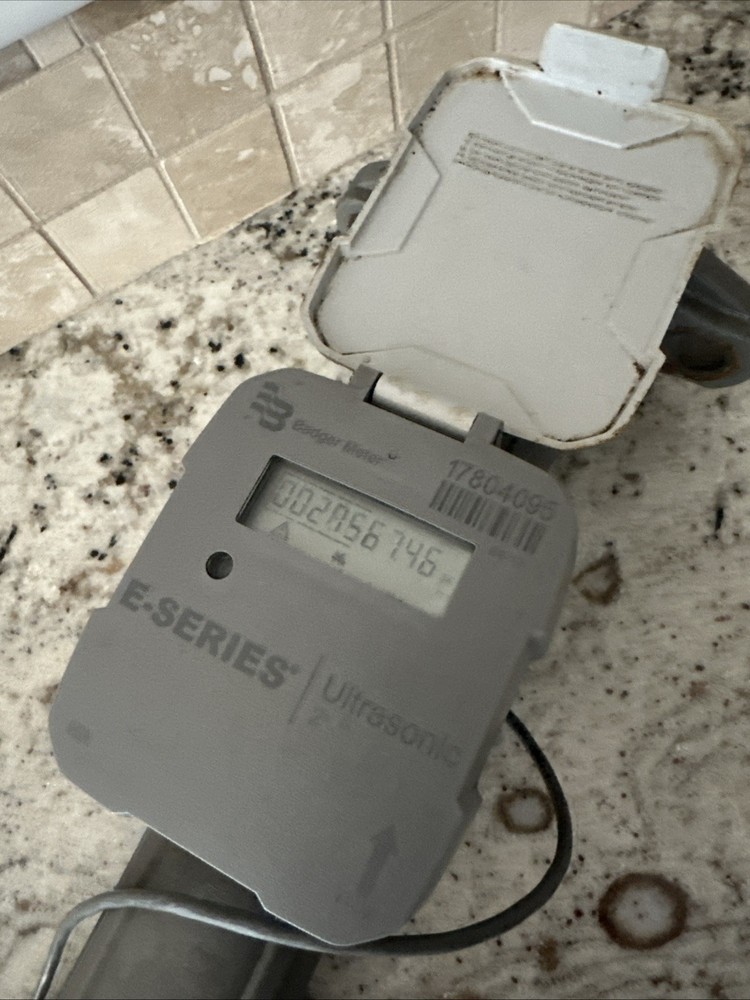 Badger Meter E-Series Ultrasonic 2'' Flow Rate Meter LCD
