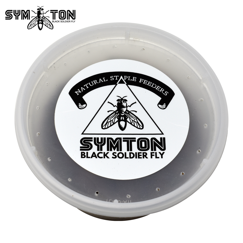MEDIUM Black Soldier Fly Larvae (Feeding-Grade)