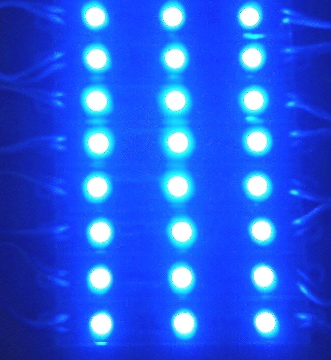 8 BBT Waterproof 12 VDC Blue LED Courtesy Lights