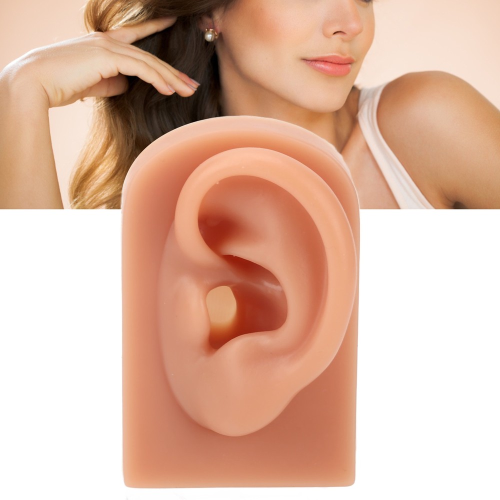 Professional Piercing Practice Ear Model For Earrings Display NEW↑