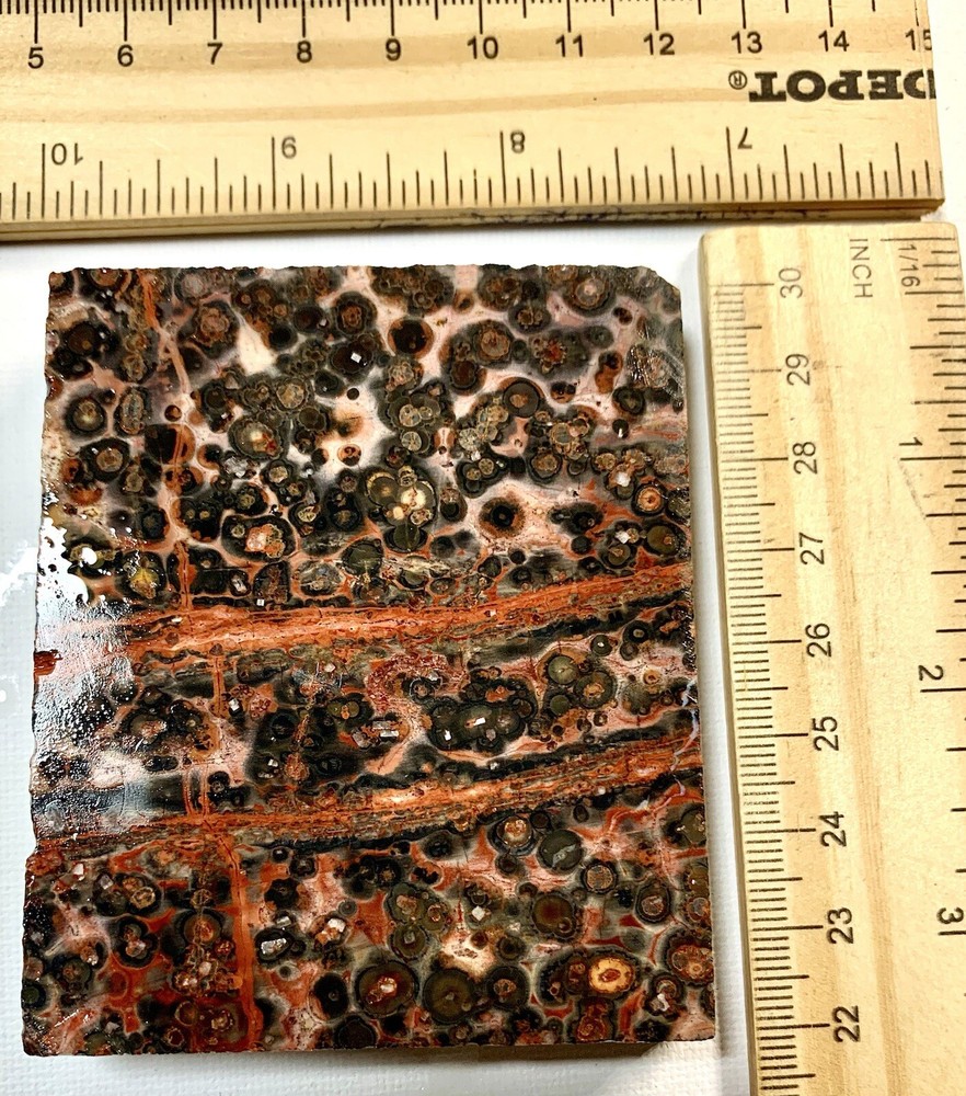 leopard skin jasper slab